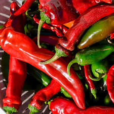 Afbeeldingsresultaat voor numex sandia hot pepper