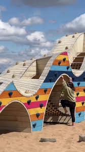 Image result for Cambrian Centre for Activity