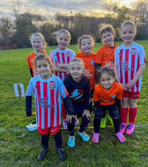 Image result for Camberley Town Youth Football Club