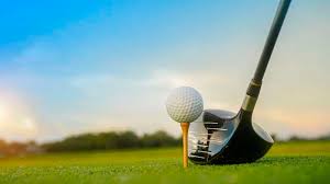 Image result for Palatine Veterans Club