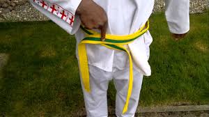 Image result for Hed Tkd (Dorking Tae Kwon-Do)