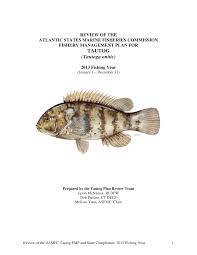 Image result for Tautoga onitis