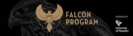 Image result for Falcon Sa Club