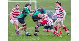 Image result for Lowestoft and Yarmouth Rugby Union Football Club
