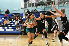 Image result for Nottingham Wildcats