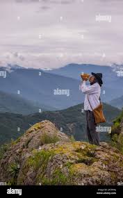 Image result for mountain top seashell