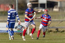 Image result for World of Shinty