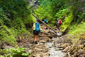 Image result for Preston College Badminton Club