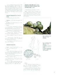 Attēlu rezultāti vaicājumam “Dianema depressum”