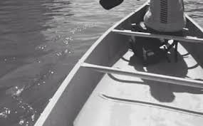 Image result for Winchester & District Canoe Club