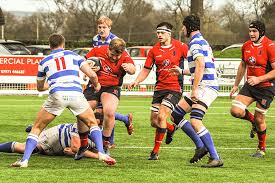 Image result for Chester Rugby Union Football Club