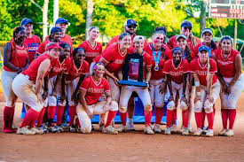 Image result for Dragons Softball Club