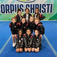 Image result for Gym Stars Cheerdancing Club