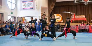 Image result for Shaolin Ancestors kung Fu School