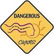 Dangerous Curves