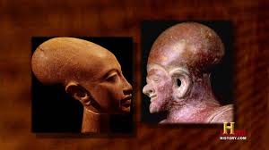 Image result for elongated skulls