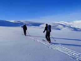 Image result for Tyneside Loipers