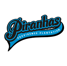 Image result for Abertillery Piranhas Swimming Club