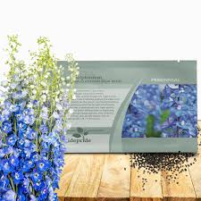 Attēlu rezultāti vaicājumam “Delphinium elatum  bud”