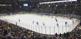 Image result for Queens University Belfast Mens Hockey Club