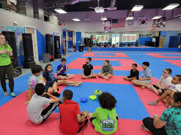 Image result for Valentin Karate