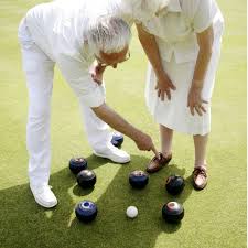 Image result for Arundel Carpet Bowls Club