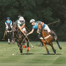 Image result for Cirencester Park Polo Club