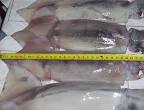 Squid (Illex Argentinus) products, buy Squid (Illex Argentinus ...