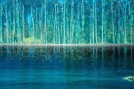 Image result for Pond Granger Performing Arts