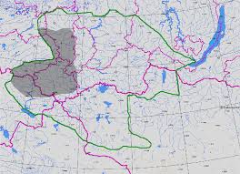 Attēlu rezultāti vaicājumam “Silene wolgensis”
