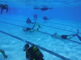 Image result for Ealing Octopush Club