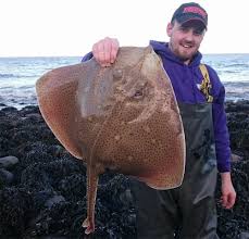 Image result for Bristol Channel Sea Fishing