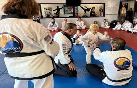 Image result for moray coast tang soo do