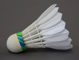 Image result for Shuttles Badminton Club (Frome)