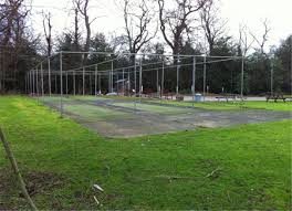 Image result for Botany Bay Cricket Club