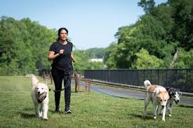 Image result for Lawson Park Bowling Club