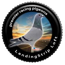 Image result for Meridian Racing Pigeon Lofts