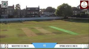 Image result for Wavertree Cricket Club