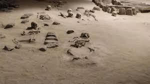 Image result for 土井ヶ浜遺跡　視線　故郷