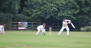 Image result for Waresley Cricket Club
