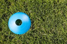 Image result for Abergavenny Bowls Club