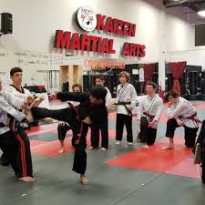 Image result for Kaizen No-Michi, Cleethorpes Karate Dojo