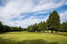 Image result for Tulliallan Golf Club