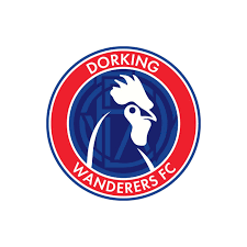 Image result for Dorking Wanderers F C