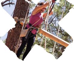 Image result for Extreme Adventures Parkour Club