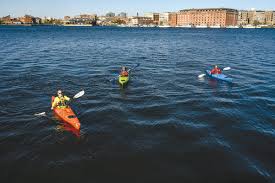 Image result for Martlet Kayak Club