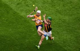 Image result for Clarehurlers