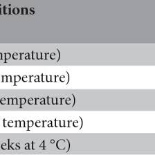Attēlu rezultāti vaicājumam “Saussurea esthonica flower”