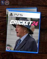 Image result for Yelverton Bohemians Cricket Club