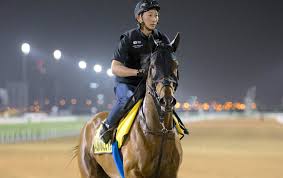 Image result for Almond Riding Club